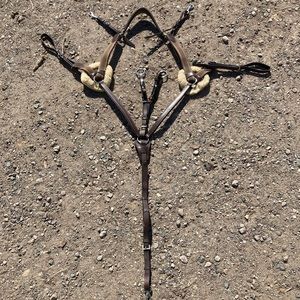 HDR 5-point breastplate